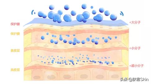 水果敷脸的好处和坏处,蔬菜水果敷脸有用吗