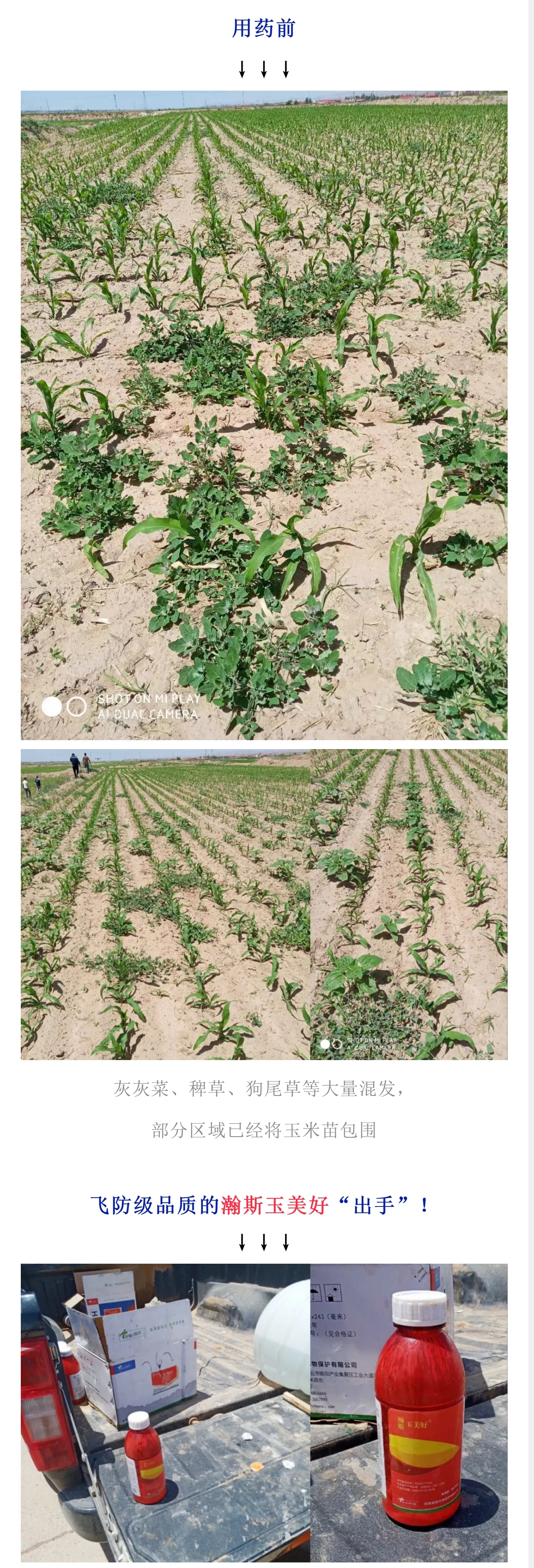 飞防高浓度,飞防7天效果