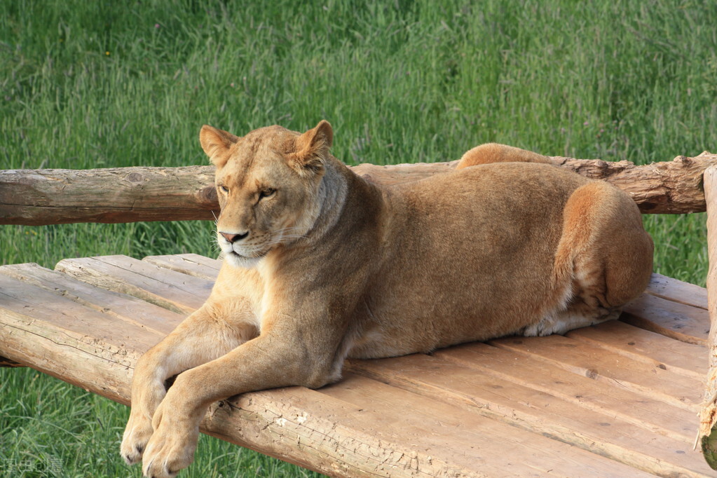 转股价怎么来的,转股价一直在变吗