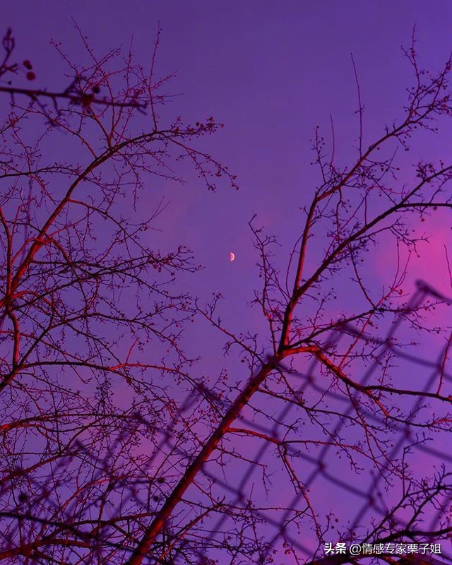 情感咨询|栗子姐每日情感问答（0307）