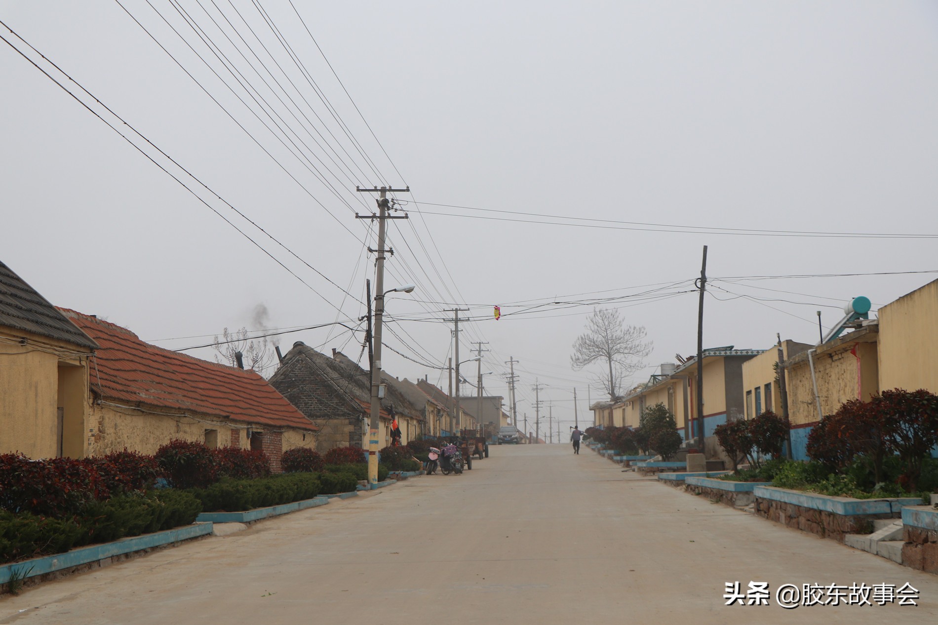 山东向氏家族族谱字辈,向姓是我国第几姓氏