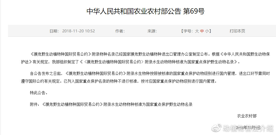 匠志萌宠乐园教学,匠志萌宠