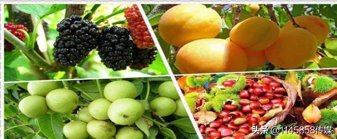 冬季蓟县梨木台农家院,天津蓟县梨木台农家院推荐