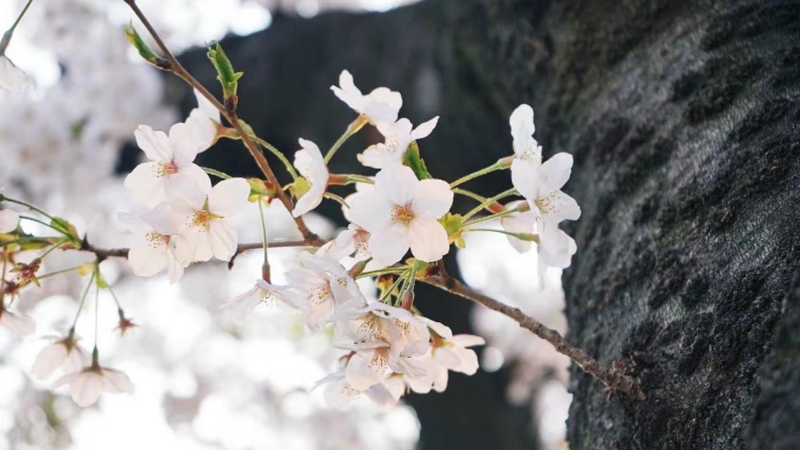 你花一整天搜索资料,居然不如新员工一分钟?