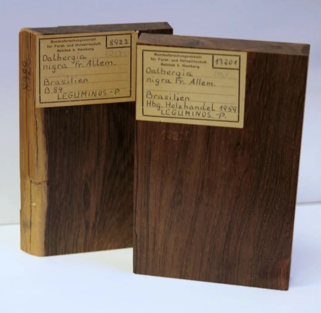 不砍头，怎么测出头的质量？|趣问万物