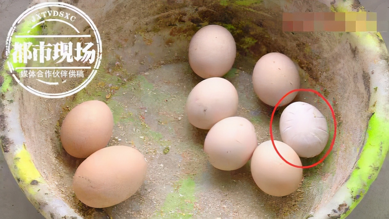 鸡蛋壳长绿毛可以吃吗,奇形怪状的鸡蛋长见识了