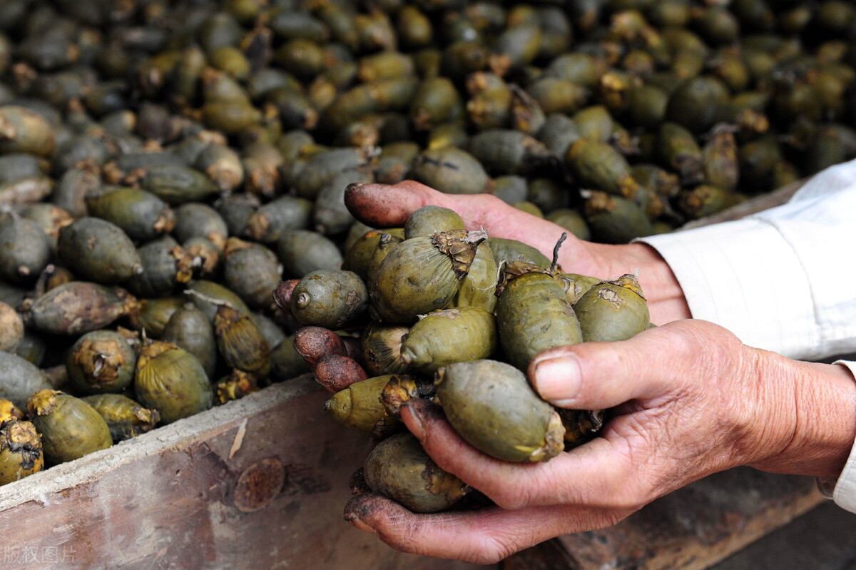 吃槟榔会有哪些严重的症状,长期服用槟榔后怎么治愈