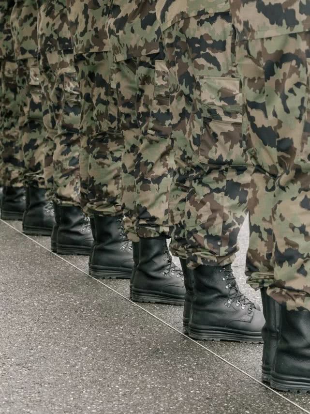 瑞士这个国家安全吗,瑞士国家安全靠什么来保障