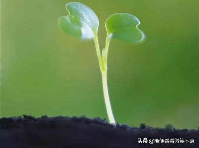 初中生成绩考不好了家长应怎样做,初中生成绩太差可以留级吗