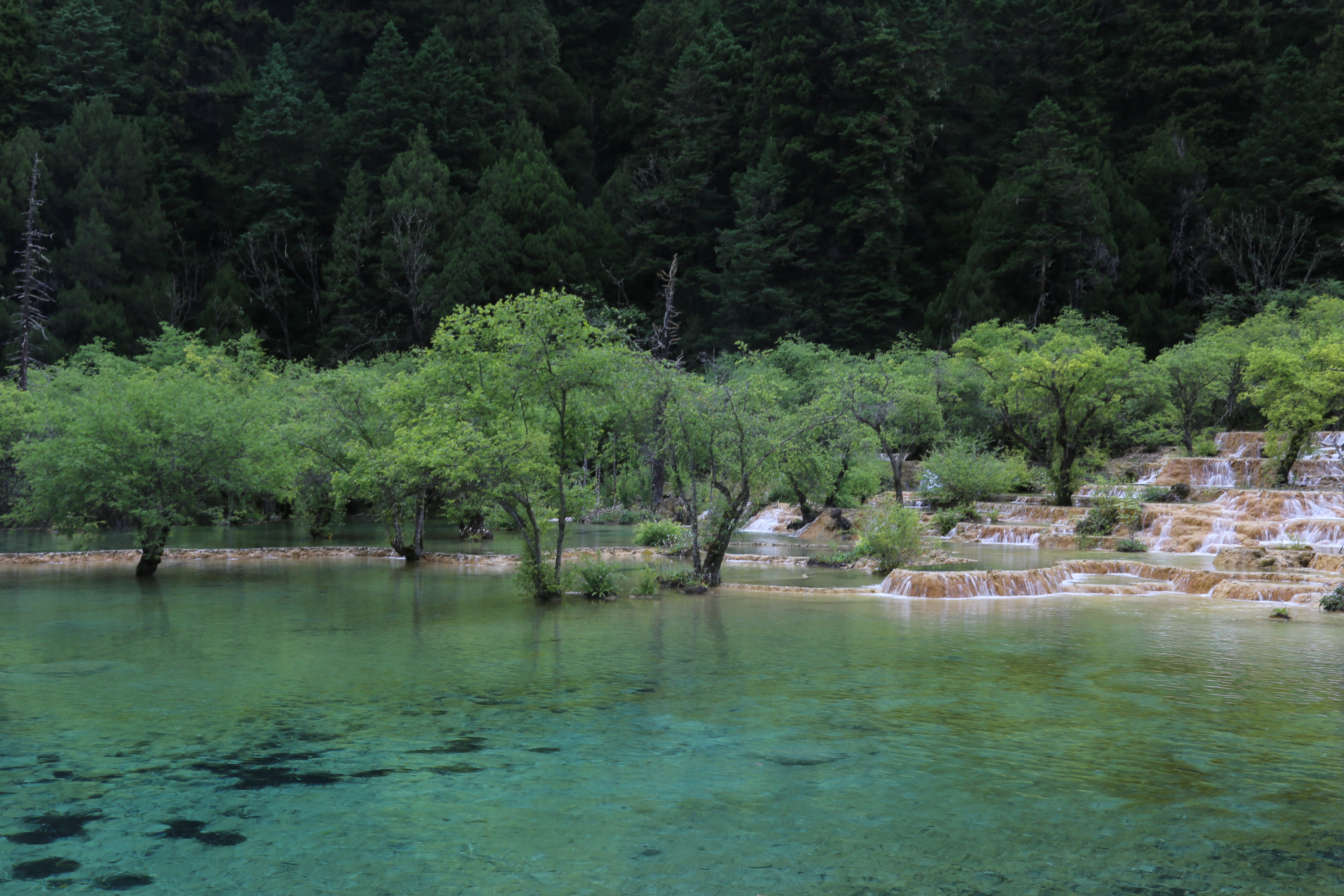 自驾游六——四川黄龙景区随笔