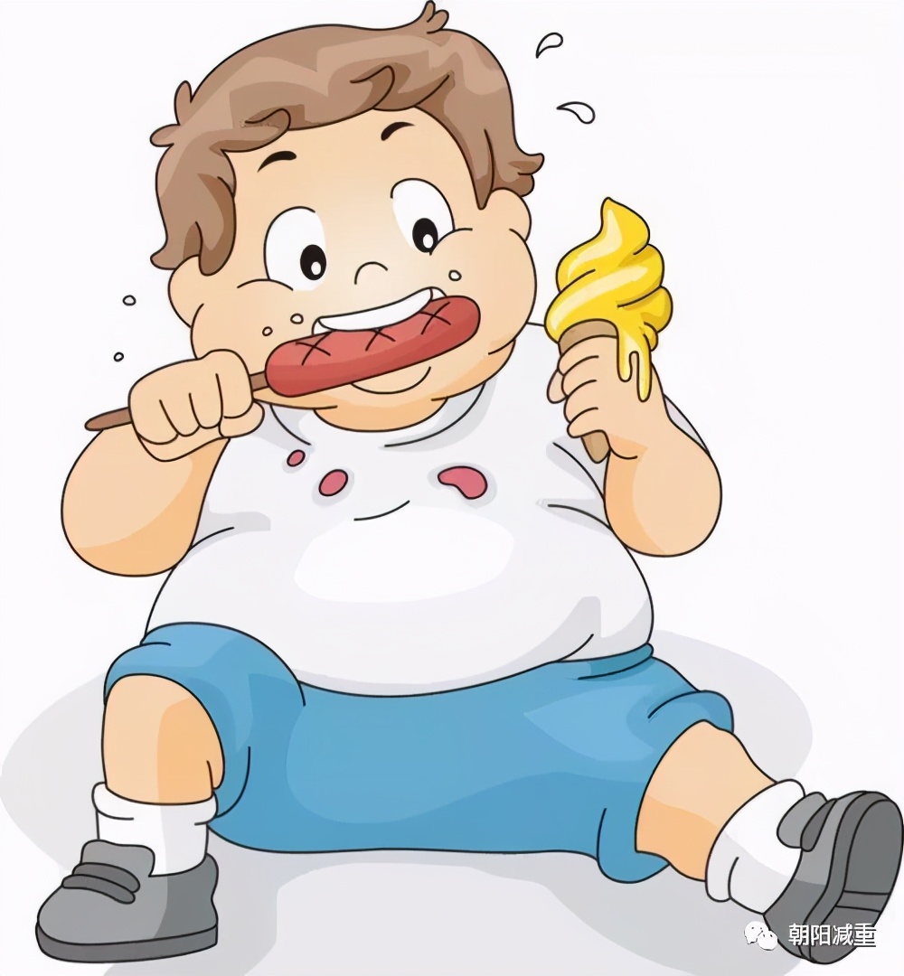 超重和肥胖对健康的危害