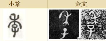 浼徊鍙斿瑙f瀽,浼徊鍙斿鏂囧甯歌瘑