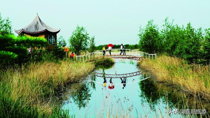 双鸭山出发旅游景点大全,黑龙江双鸭山有什么旅游景点