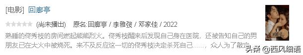 东野圭吾被翻拍过的影视剧,东野圭吾翻拍的电影哪些好看