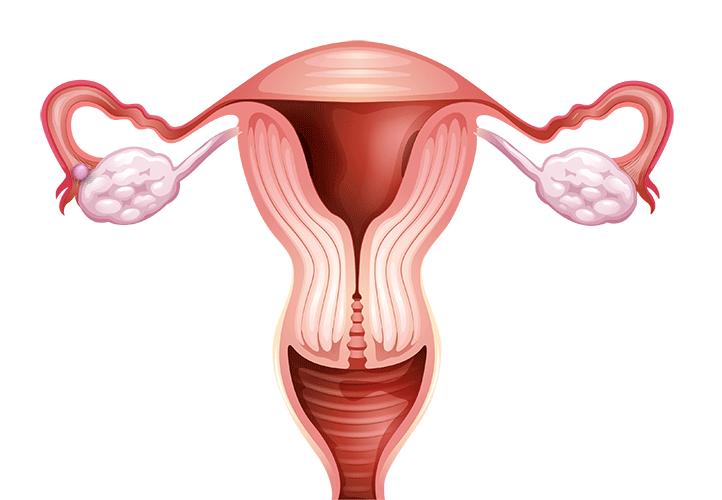 经期真的怎么吃都不胖吗,经期可以随便吃不长肉吗