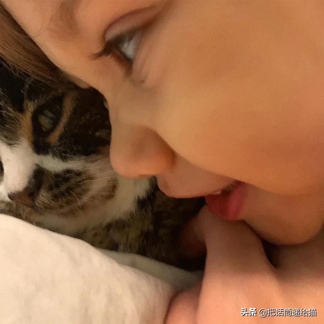 猫兄妹可爱视频,矮脚猫兄妹
