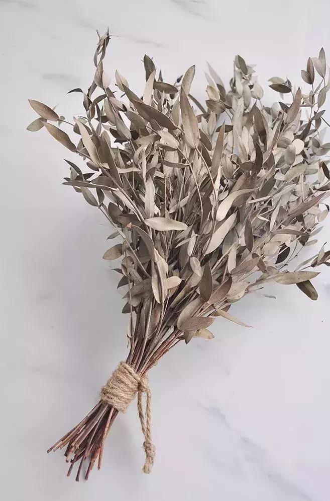 8种能做干花的鲜花,男朋友送的花就这么做