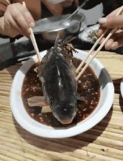 老虎：这是我准备养大吃的，你来凑什么热闹