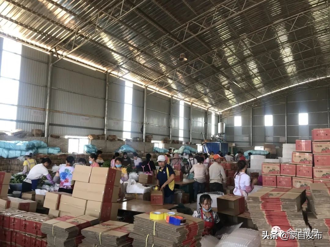 蒙自电商怎么入门,交易额超千亿电商数量