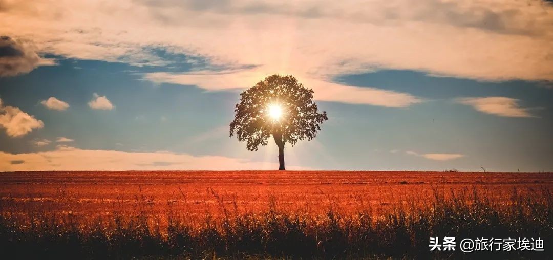 用正念练习可以克服焦虑感,正念治疗惊恐缓解焦虑30分钟