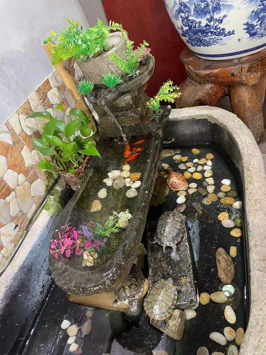 巴西龟怎么做龟苓膏,巴西龟壳可以做龟苓膏吗