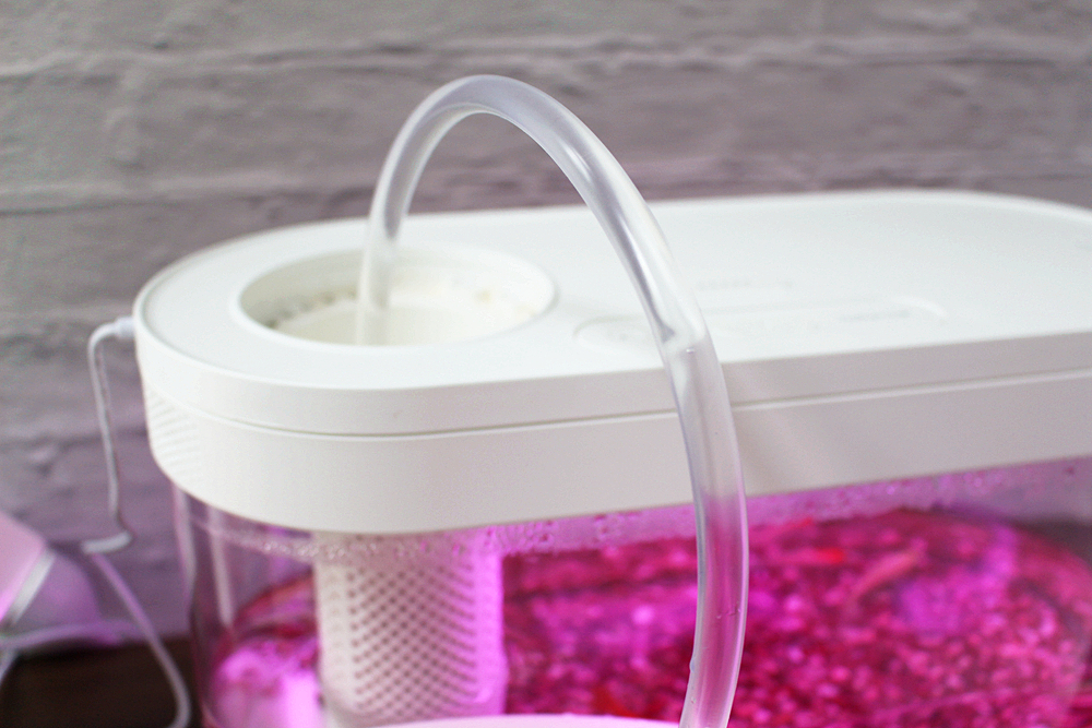 养鱼日记森森鱼缸,水族箱造景养鱼日记