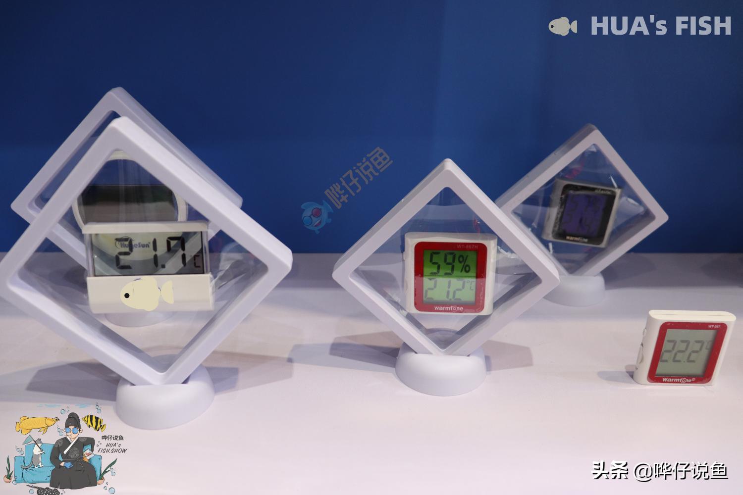 最准确的鱼缸水温计,什么样的鱼缸水温计最准