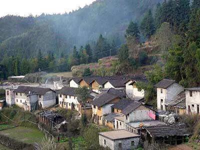 农村这3个发家致富的新行业正在崛起，想自主创业不妨好好考虑