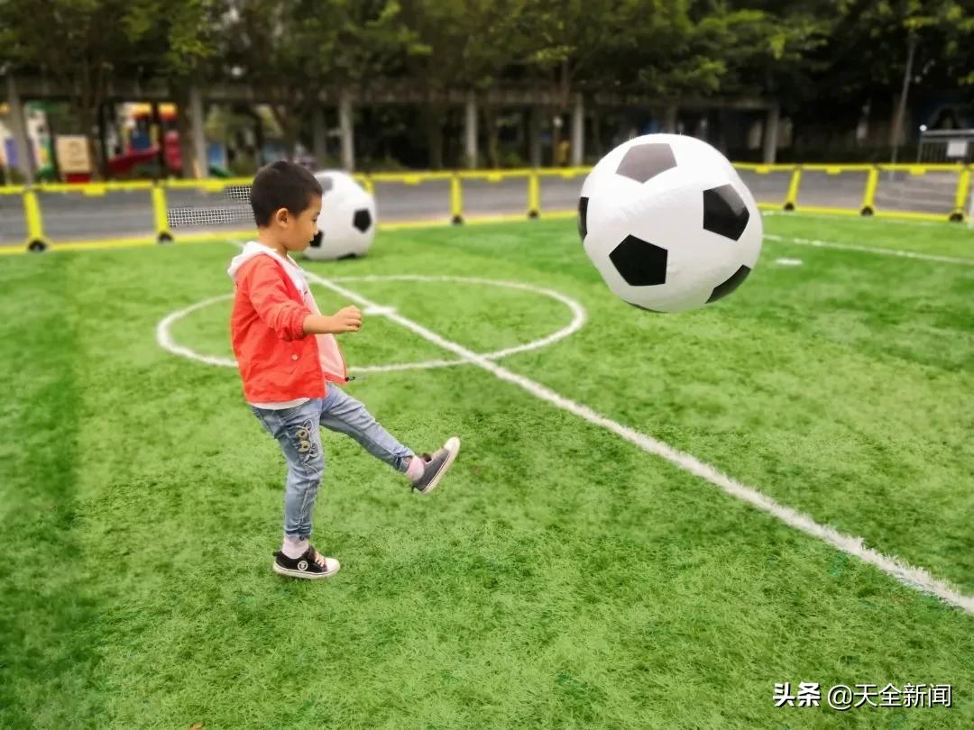 天全县第一幼儿园：*党**建引领“1+4”模式，奏响“保教先锋”主题曲