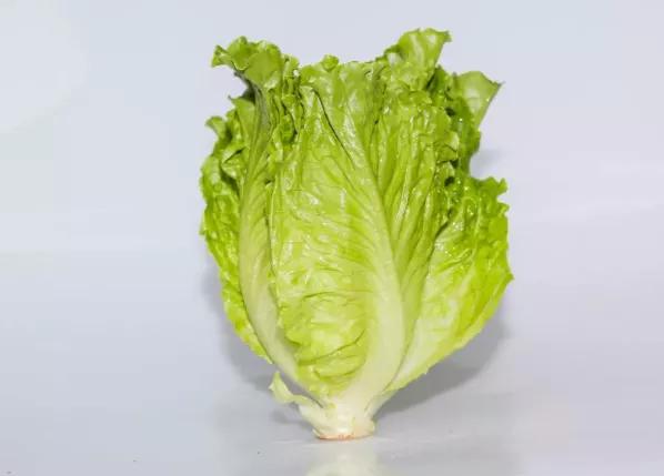 鍗佸牥瓒呭叏钄彍姘存灉,鍗佸牥鏂伴矞姘存灉