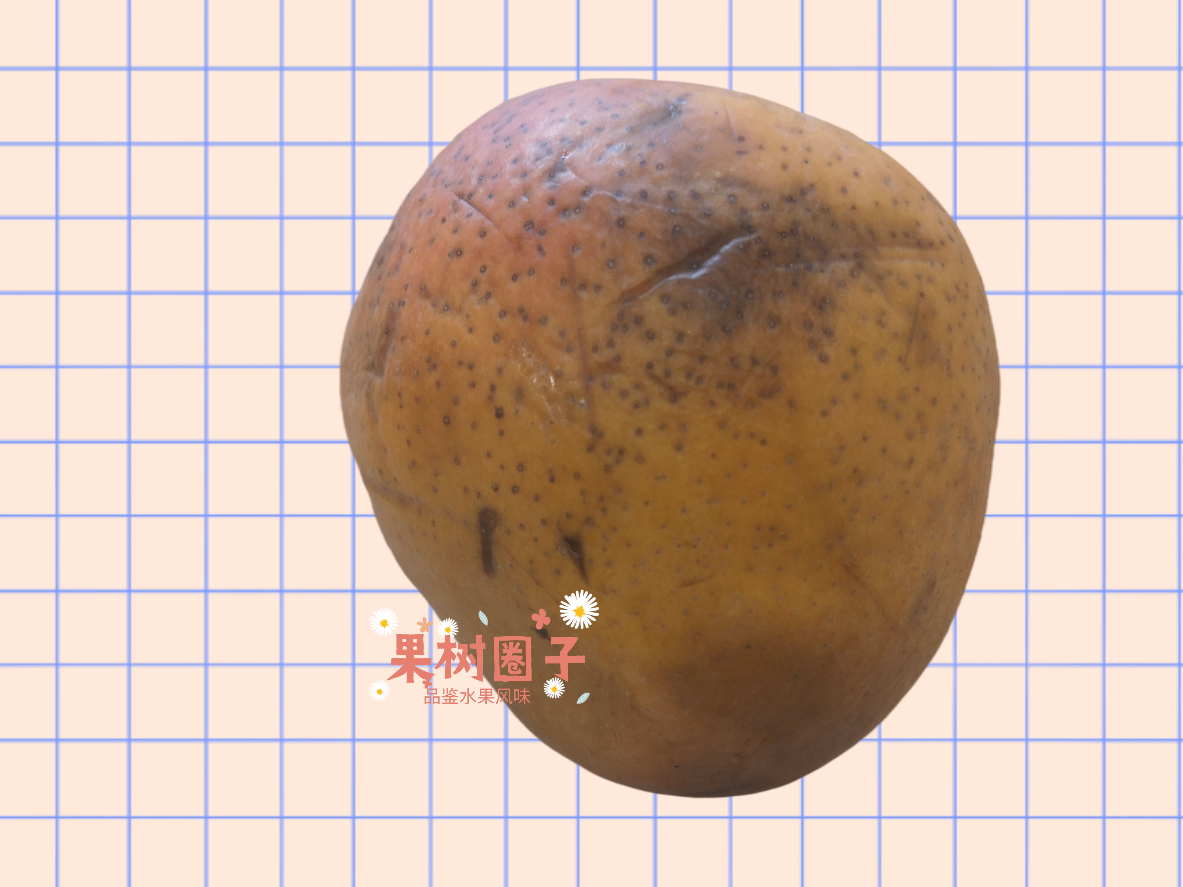 芒果选哪个才能最新鲜,目前哪种芒果最畅销