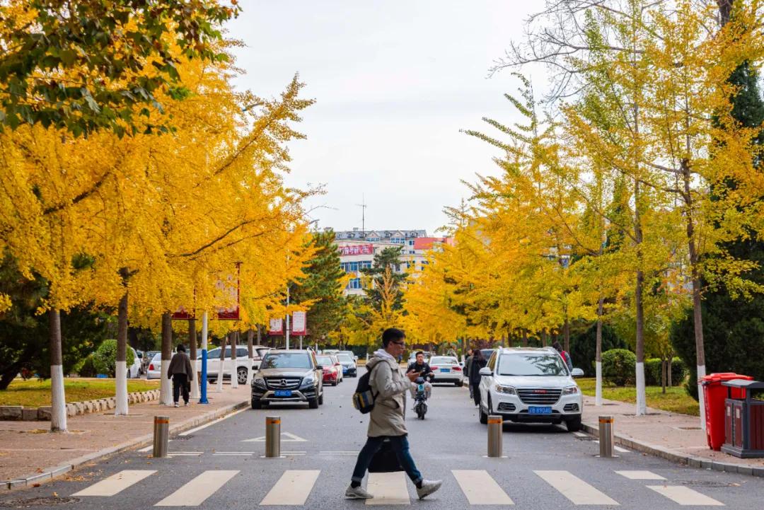 醉美大工秋|读书不觉已秋深，____________