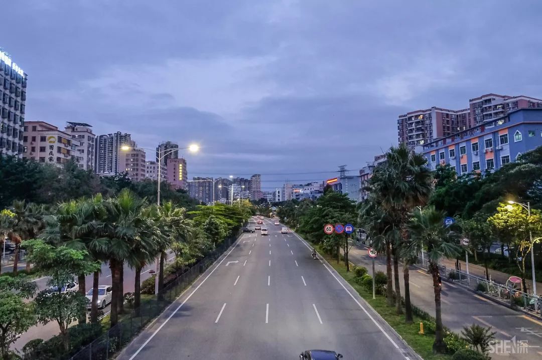 鍘夊浜嗘垜鐨勫ぇ瑗垮畨,鍘夊浜嗘垜鐨勫ぇ鑸熷北