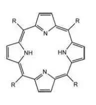 一家三口吃了一碗汤导致死亡,一家三口吃香椿后丧命