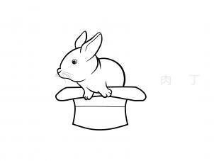 兔子的简笔画和它的特征,兔子的简笔画漂亮颜色