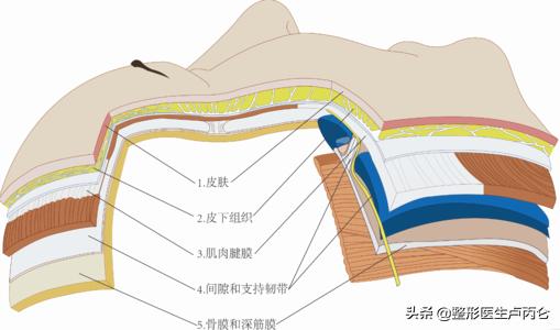 哪些人适合做面部除皱大拉皮,拉皮手术除皱术医学动画演示