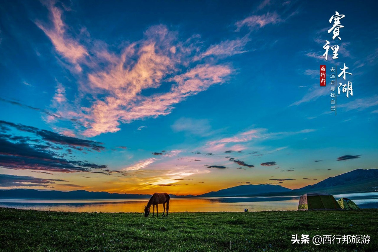 哼，又想「骗」我去*疆新**旅游！