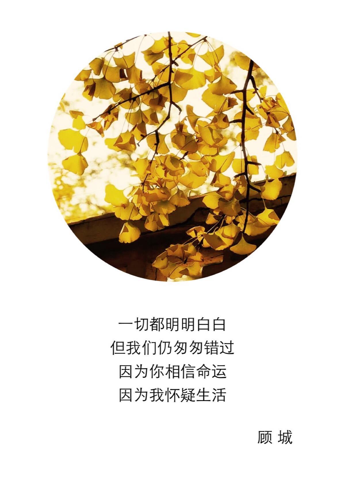 顾城的心情短语,顾城经典语录朋友圈