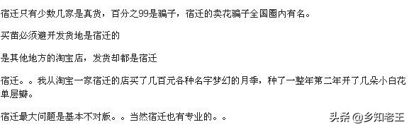 花草苗木界的“神苗”，美丽的背后步步惊心，最终坑了谁？