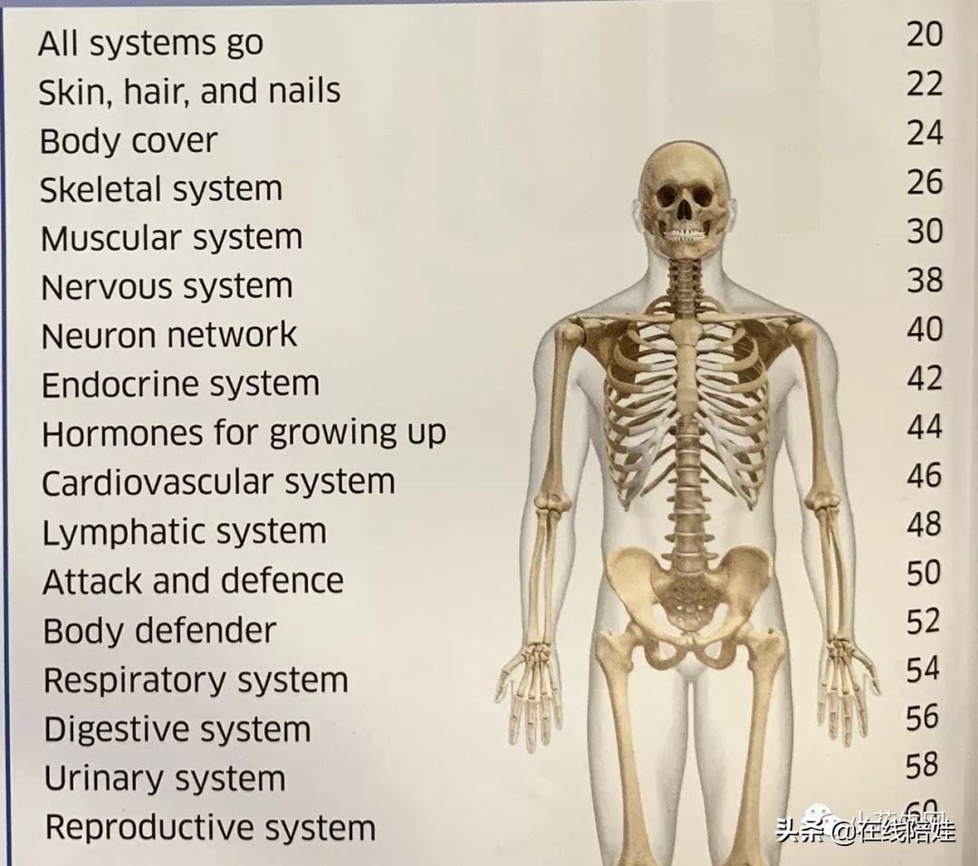 dk知识大百科全套,dk知识大百科书金银版