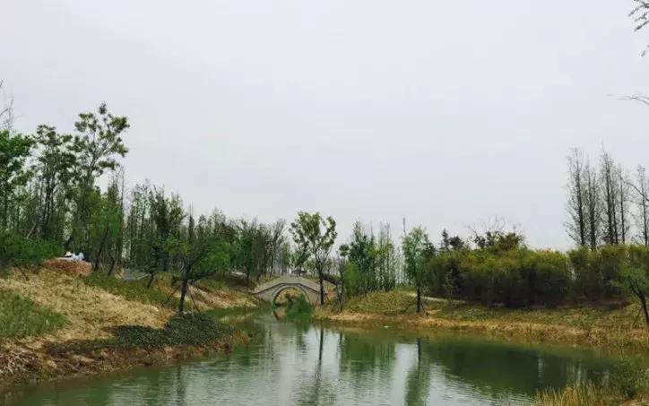 南京哪几个公园免费又好玩,南京莫愁湖公园免费