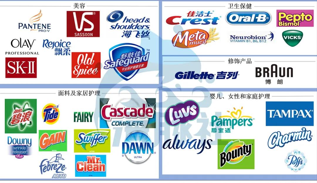 宝洁多品牌战略论文,宝洁全文