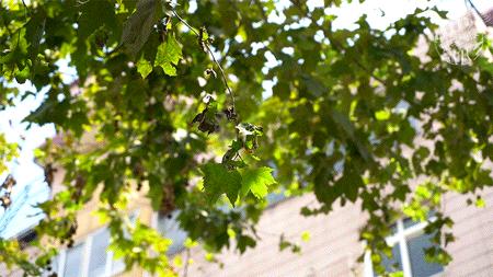 300m的进贤路，变了！不再只有“本帮菜”3巨头