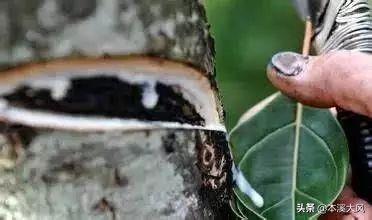 本溪与努尔哈赤,本溪清河城努尔哈赤