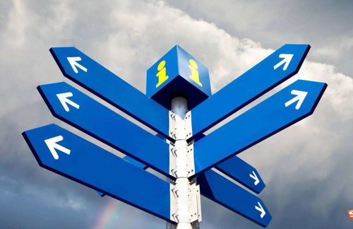 金融期货仿真交易,期货投资学知识点