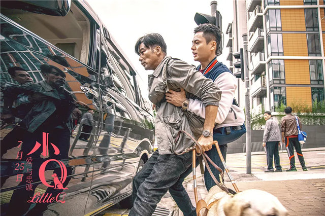 你有被人坚定的选择过吗原视频,你有被人坚定的选择过吗