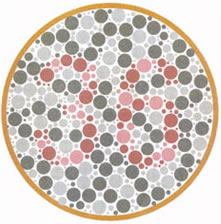 色弱可以考驾驶证吗,色弱可以考汽车驾驶证吗