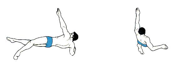 游泳初学者必看各种泳姿,游泳最简单最容易学的是哪个泳姿