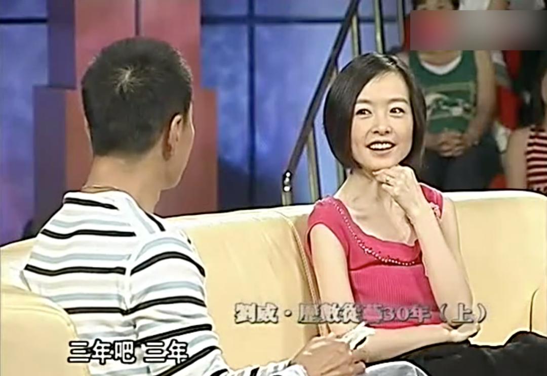 江南美人何晴的狗血情史,廖京生和许亚军合作的电视剧