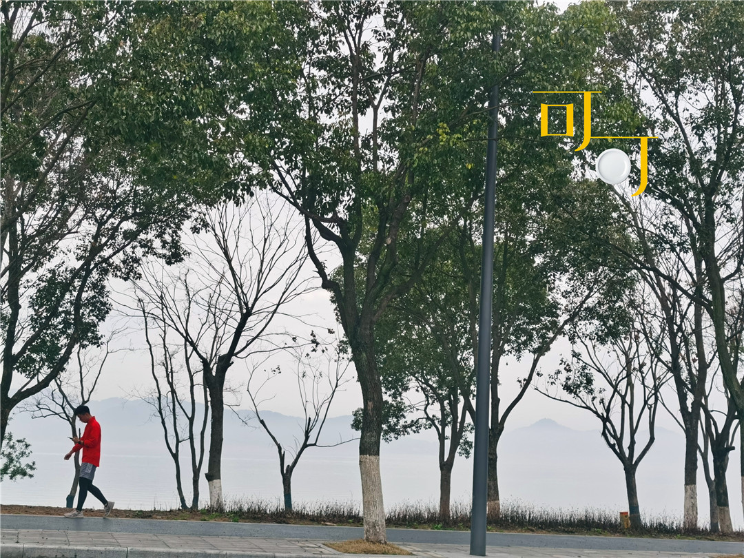 东钱湖韩岭老街白天玩还是晚上玩,打卡东钱湖韩岭老街